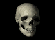 skull6.gif